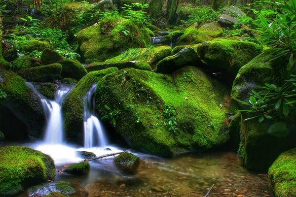 Great Smoky Mountains