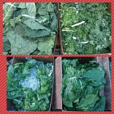 Fresh Greens Collard, Kale, Mustard, and Turnips