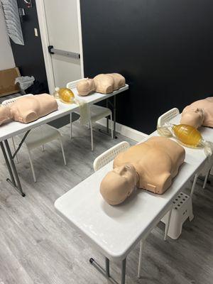 Our CPR practice models