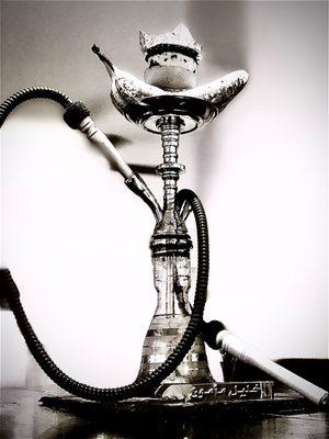 Nice Hookah Shot