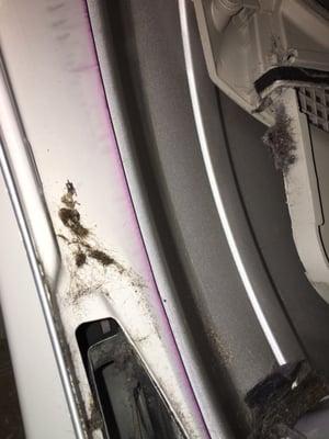 More gunk in dryer