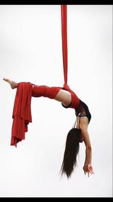 Aerialist