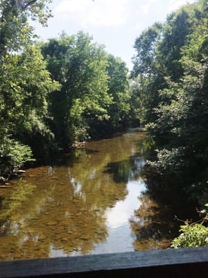 The creek under the bridge