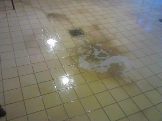 This is the 3rd bleach scrub down of the floors that I was at least able to do before leaving that awful place