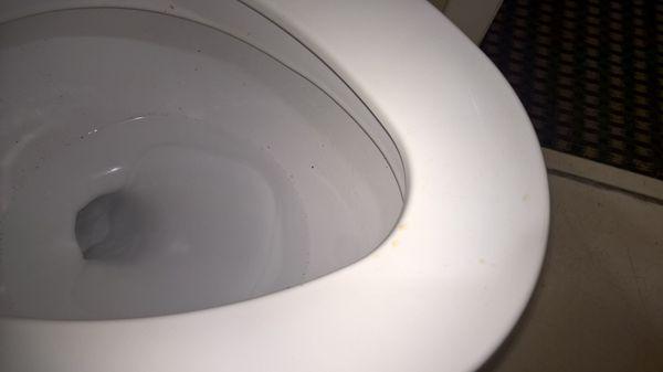 Management didn't clean the urine off the toilet seat from the last guest