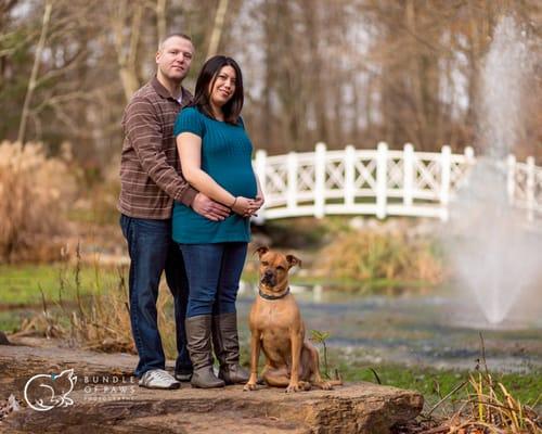 Bundle of Paws Photography