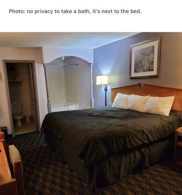 Bath tub is next to the bed