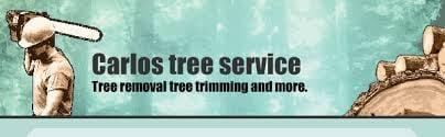 Carlos Tree Service