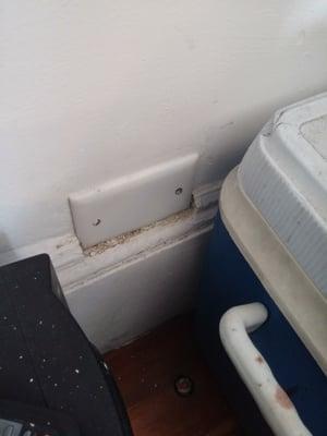 The electrical outlet "repaired"