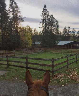 A view of the property and barn.