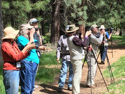 Road Scholar Photography Class visiting Yosemite NP