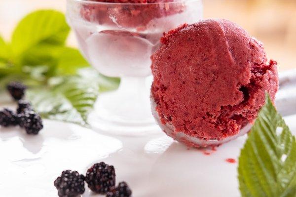 Black Berry Sangria Sorbet made with Fresh blackberries picked from our property