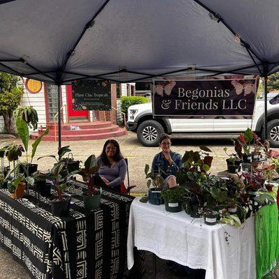 Plant Chic Tropicals & Begonia's and Friends