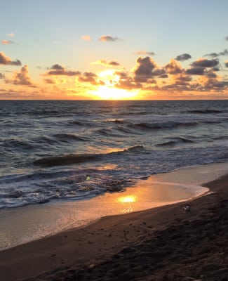 Miles and miles of beautiful beaches.  The Palm Beaches are for kids of all ages.