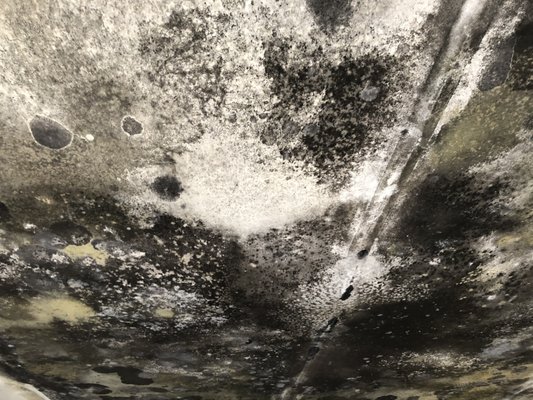 Mold on Garage Ceiling