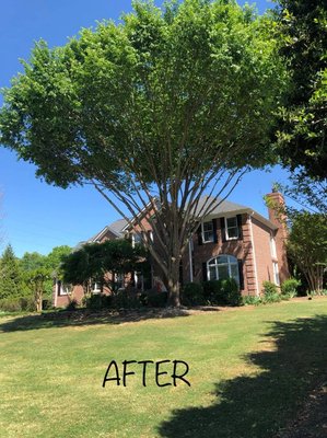 At Tyndal Tree Service LLC in Greer, SC, our certified arborists are the experts you can trust for all your tree care needs...