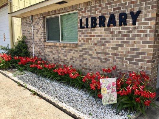 Pachuta Public Library