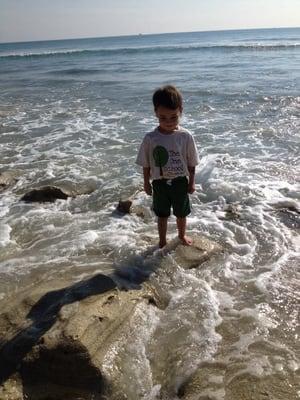 The TBA One School takes the classroom outdoors to the beach for a nature storybook walk, exploration, Shabbat, and craft.