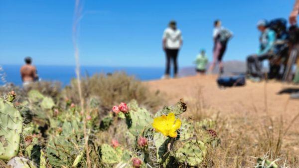 Catalina Backcountry