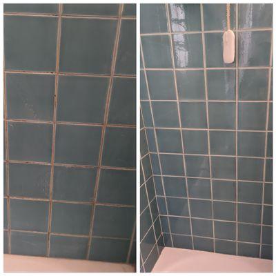 Before and After Deep Cleaning