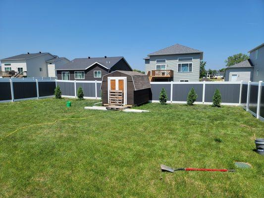 Fence and shed project