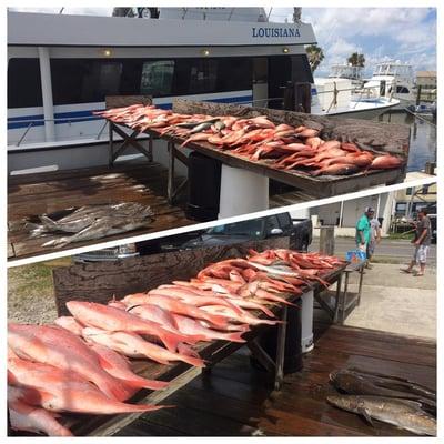 Southern Pride Charters