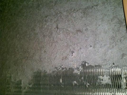 A dirty evaporator coil. This needs cleaning