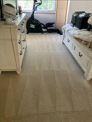 Carpet Cleaning Edwin - Carpet odor elimination