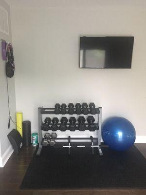 Dumbbells, Foam Rollers, TRX , Pull Up Bar, Ab equipment, Tv and Bluetooth wireless music access.