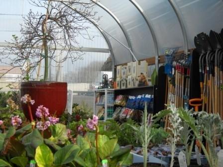 Greenhouse plants