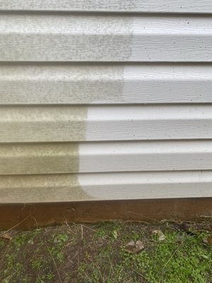 Mildew removal on vinyl siding