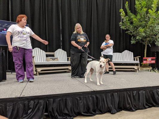 Austin Home & Garden Show