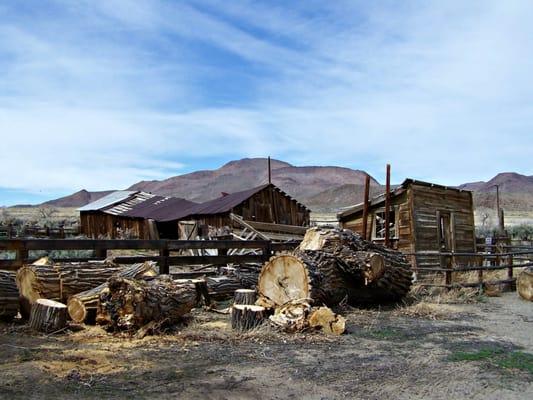 Old ranch buildings across the highway from Buckland Station.