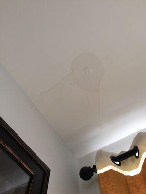 Water damage to the ceiling  at an Urban View Development Group condo building in Bushwick.