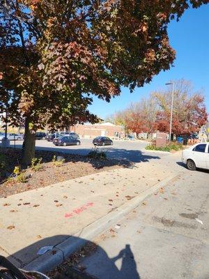 There's a small parking lot, but also a good bicycle rack and a stop for the 81 bus.