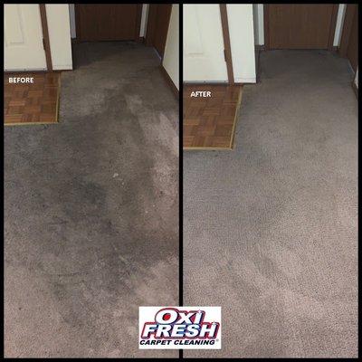 Our Green Carpet Cleaning method gets tough stains out of carpets.