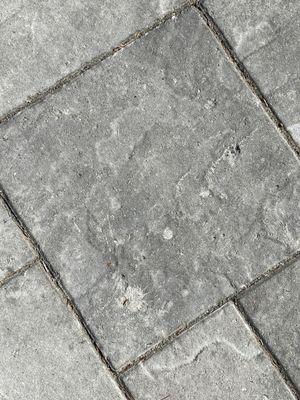 Concrete spill, damage and cracked pavers