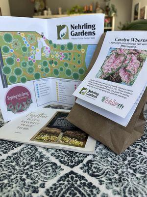 A map and the Caladium Bulbs that I bought at the festival.