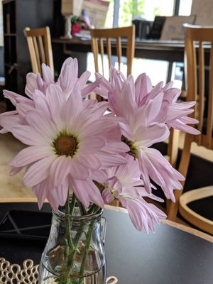 Fresh flowers at the table