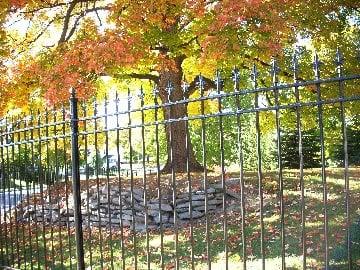 Glenwood Cemetery in the fall, view from the road.