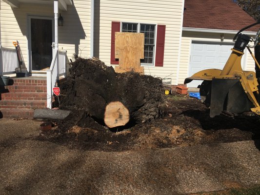 RW Stump Grinding