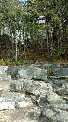 Summit of tibbet knob