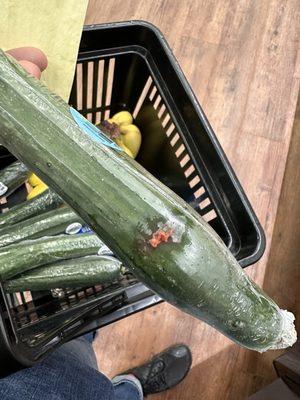 Blood on a cucumber in produce, under its "protective wrapping"