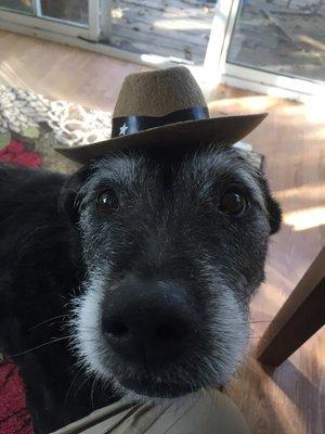 Rootin' Tootin' Abby