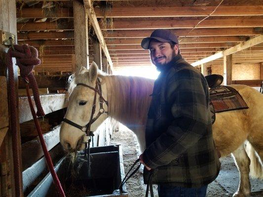 Meeting our lovely horses