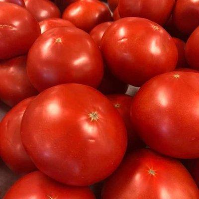 Tomatoes