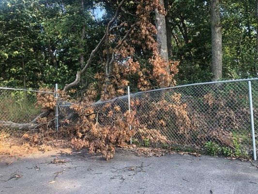 This fence has been like this for 3 months. Does anyone ever patrol this facility to see how it looks?!