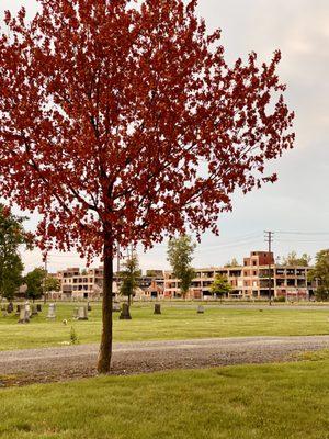 Trinity Cemetery