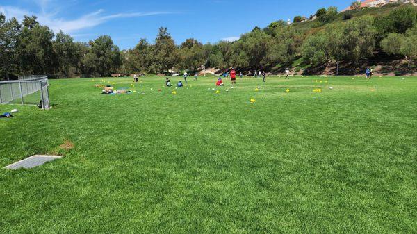 Field on top of the park, extremely spacious and a beautiful sight.