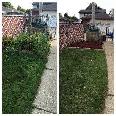 Cleaned up mulch bed